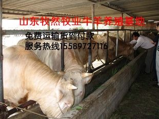 ũţ׬Ǯ@2@@2߸µţǮһͷ