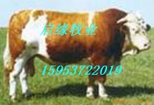 ũ巢¸ֳţţ糤ƿǮɰѼҷ