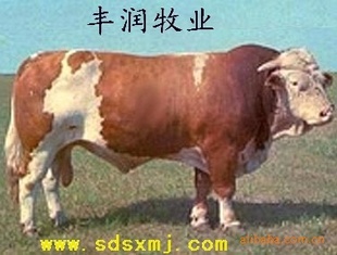 2013괺ţ۸Ԫţ۸ţ߼۸