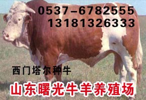 ɽţţ꣺³ţţ۸ţ