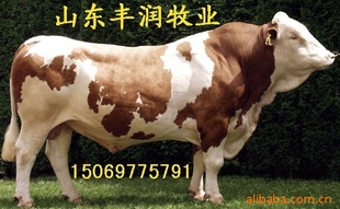 ţţ53%—ţ130