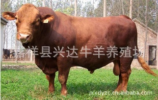 2011³ţ۸--ţļ۸