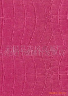 ţ