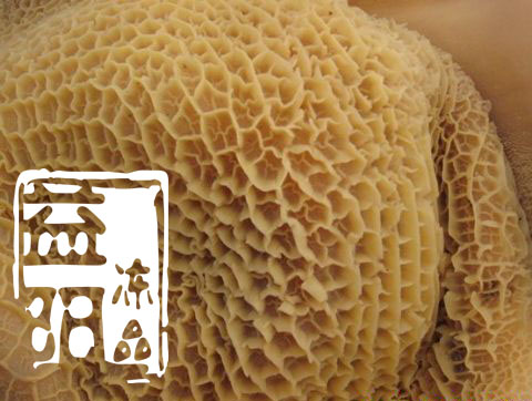 ۽ڰSIF4507䶳ţţ