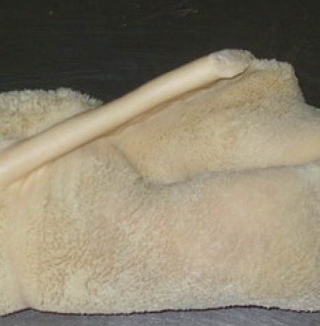 Ӧ䶳ţǡѶǡǡצ