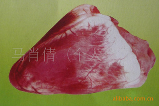 ṩţţ;