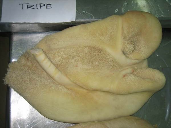 Ӧ䶳ţǡѶǡצ