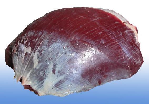 ۸ר䶳һţţţ