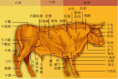 10号黑标冷冻牛腱子牛里脊牛后腿肉牛仔骨