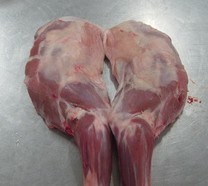 ۶Ʒǰȣȣ򼹹