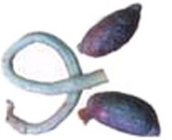 ൺ䶳ţţţţ