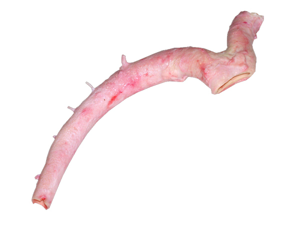 ԭ䶳ţĵţＹţţţ