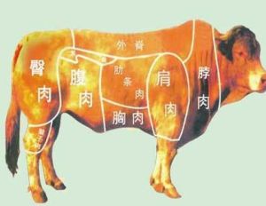 ൺ䶳ţƹţţһ