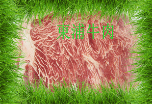 ţ