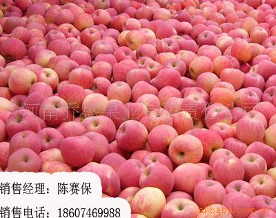 ṩ츻ʿعƻӹ