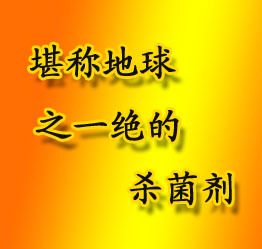 ЧũңũʾӪ׬ǮҡǮ