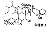 0.3%ӡ