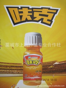 桢ʭȸЧ