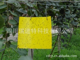 ۻư塢ճ塢ũճ塣ư