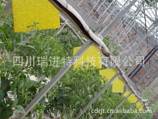 ½塢½塢½ư塢ճ