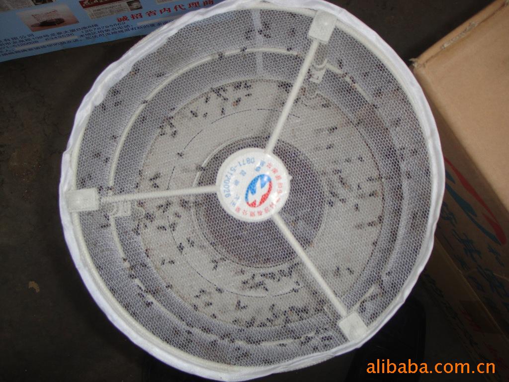 ԲβӬ