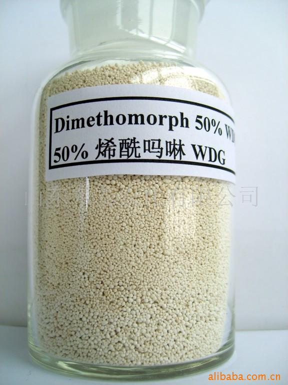 50%ϩWDG