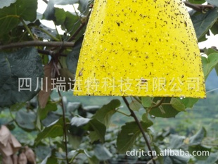 ຣճ塢ຣ԰ư塢ຣҶճ塢ưճư