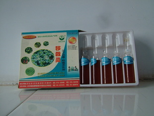 fù10ML/֧