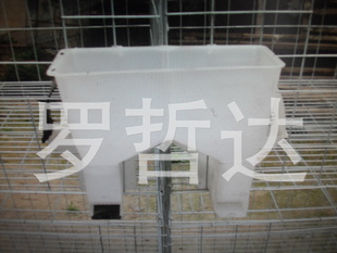 ԶʳԶϲԶʳнʳУ˫