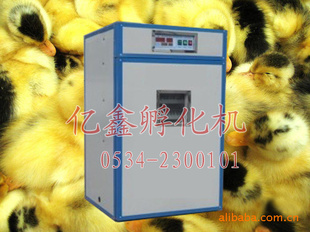 |528ö|ֳ豸