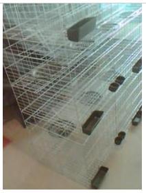12λ丽ֱ