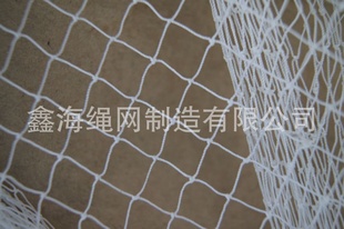 ֳ˿