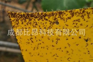 ũʡ֡ճ塢ư塢塢ճ塢ֲе