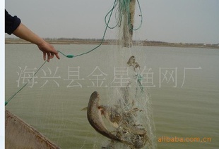 3米高,10公分(4.5指),长100米,铅坠,高强度网丝三层渔网
