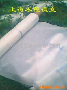 ϱĤ13816407723