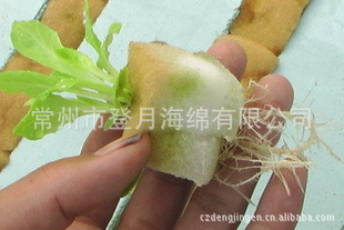 3D廷ຣ