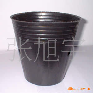 树苗育苗钵