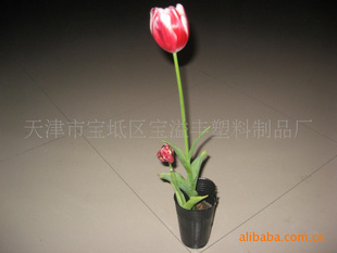 营养钵.育苗杯