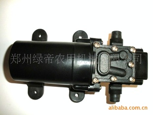 小型洗车机水泵
