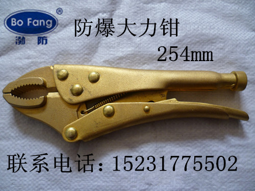 ֱƷǯǯ254mm