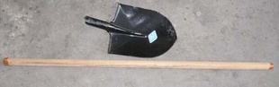 ʮָָ