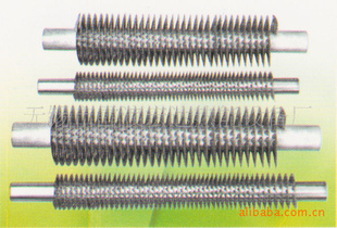 ʳƬ——
