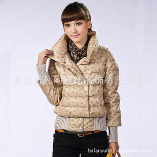 2011¿С黨˫ſ۶̿»
