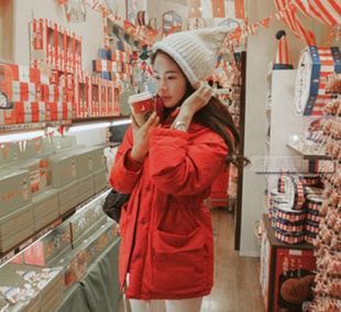 2013꺫紺¿ñĿڴſŮװZP3-1504