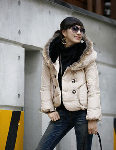 2012ﶬ¿ݻëӺů#E10014