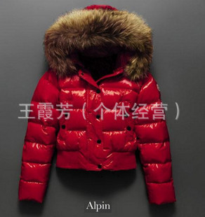 ҦͬALPINʹͬë߶ݻ޷
