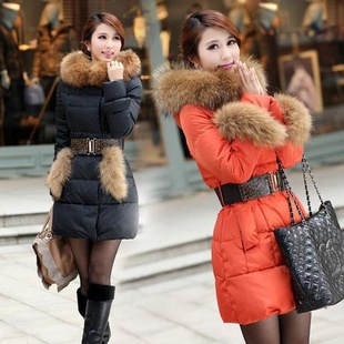 ߶2012¿װݻëñг޷Ů