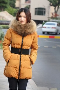 2012ݻëӺг޷