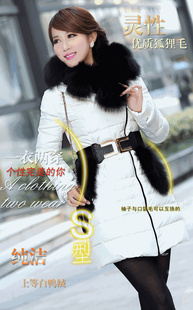 2012misofoӺݻëñг޷Ů