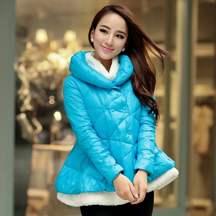 2013ﶬŮA˫ſ޷ëӺи